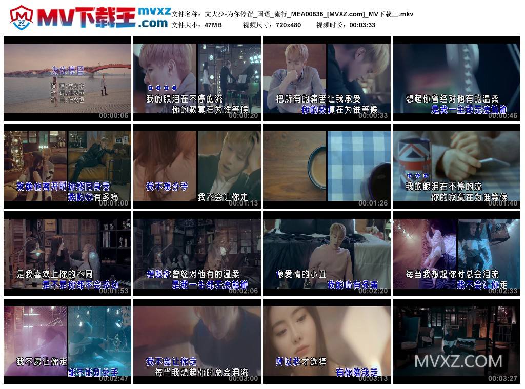 文大少-为你停留_国语_流行_MEA00836